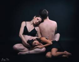 David AMADIEU - AMADIEU DAVID